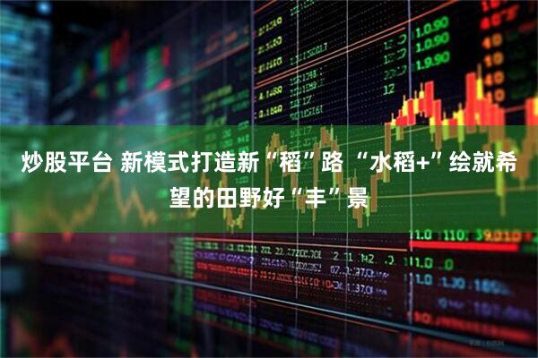 炒股平台 新模式打造新“稻”路 “水稻+”绘就希望的田野好“丰”景
